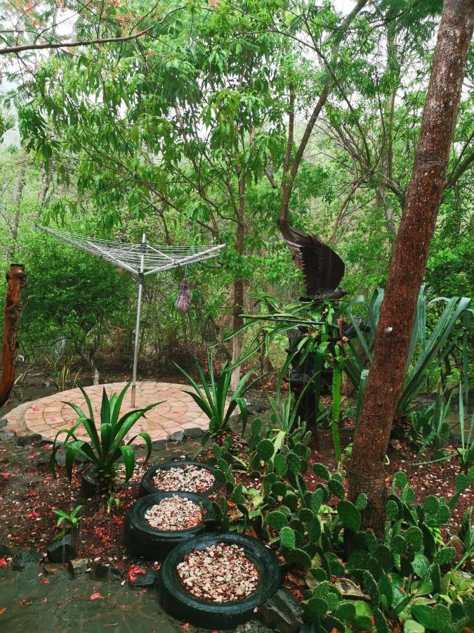 Guesthouse Casa Avi Fauna Playa Ocotal Extérieur photo